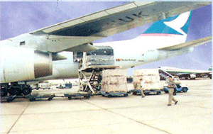 airfreight_2(3).gif